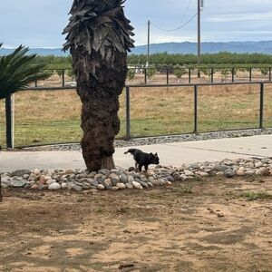 Meet your Posher, Kari